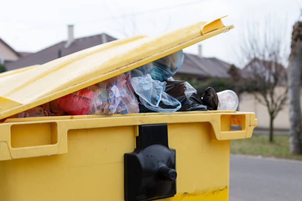 Same-Day Junk Removal Services in Bayboro, NC